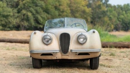 Jaguar XK120 1954 года, несколько десятилетий простоявший в гараже