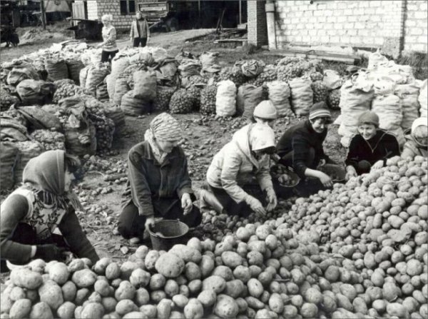 Атмосферные фотографии: осень в СССР