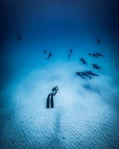 «Большой и синий океан»: фотограф-фридайвер показал удивительную серию подводных кадров