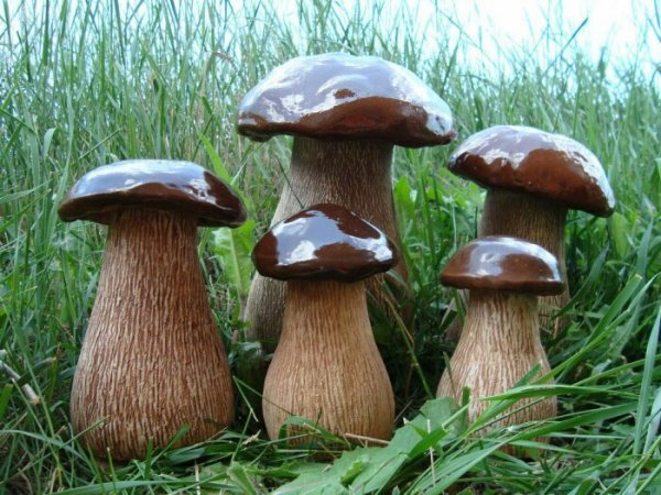 Можно ли посадить лесные грибы у себя на грядке