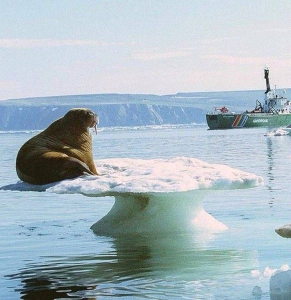 20 необыкновенных фотографий, которые ломают все известные законы физики