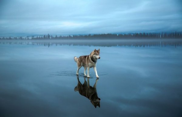 20 необыкновенных фотографий, которые ломают все известные законы физики