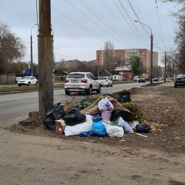 "Куча-могуча": стихийная мусорка в Воронеже привлекла внимание в Сети