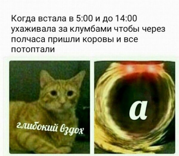 Мемы, которые поймут только пенсионеры