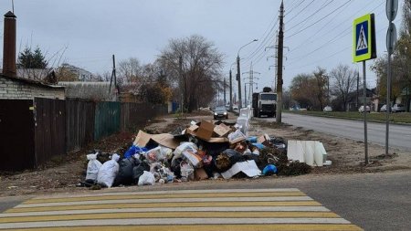 "Куча-могуча": стихийная мусорка в Воронеже привлекла внимание в Сети