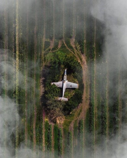 Подборка фотографий из серии "вау"