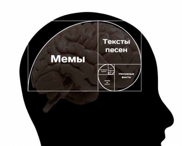 "Золотое сечение" в реальной жизни