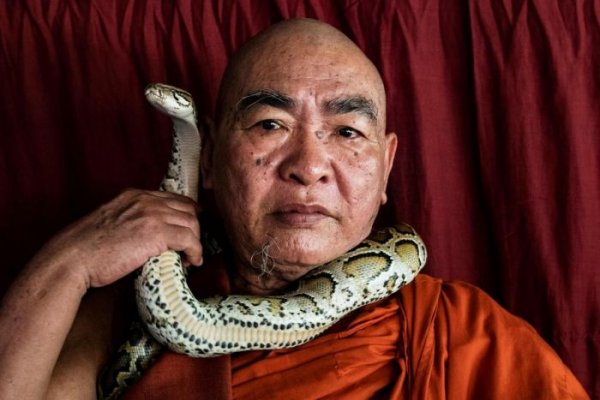 Мьянманский монах создал убежище для змей в монастыре