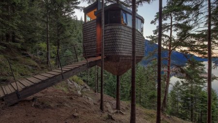 Уникальные домики на деревьях Woodnest парят в норвежском лесу