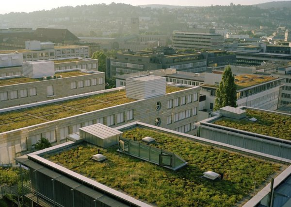 Сады на крышах