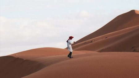 Как глубоки пески пустыни Сахара и что находится под ними