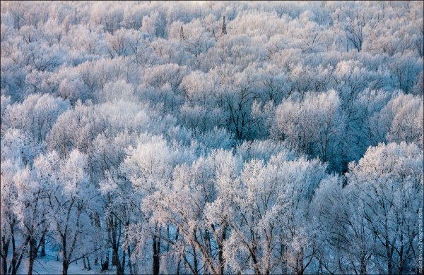 Высотный Красноярск