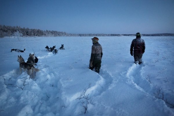 Один день из жизни заполярной отшельницы