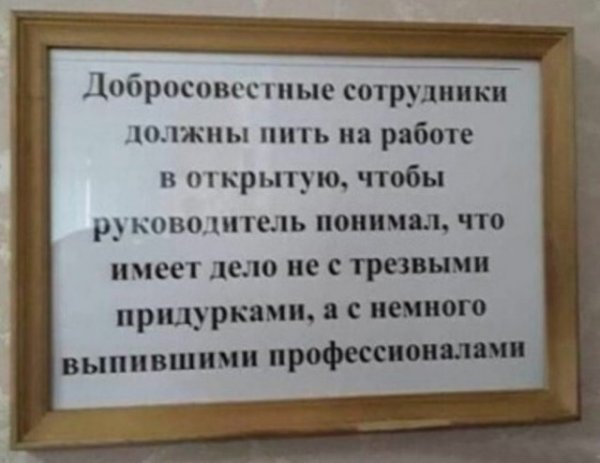 Приколы про алкоголь после выходных