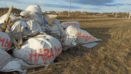 Жители Разетелево написали на мешках с мусором «Навальный», чтобы их наконец-то убрали