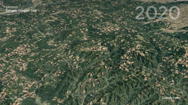 Google Earth: как изменилась нашла планета с 1984 по 2020 год