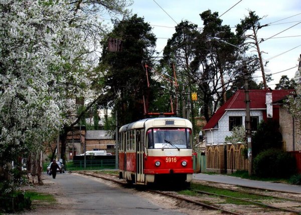 Эстетика частного сектора