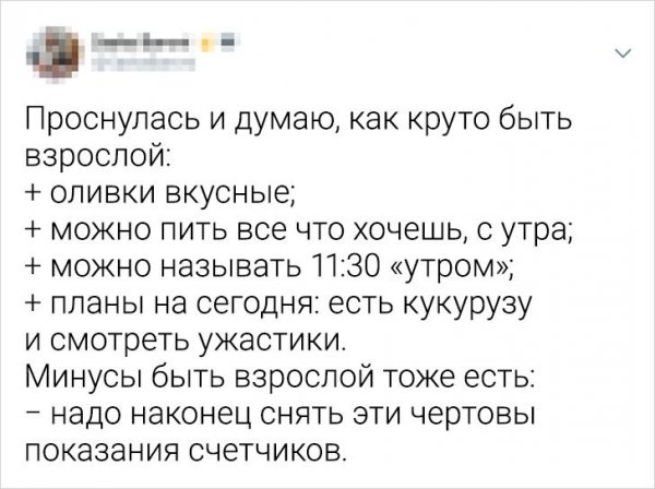 Подборка забавных твитов о сложностях взрослой жизни