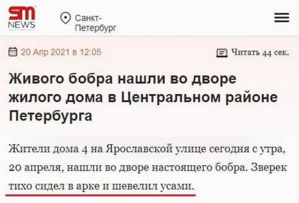 Смешные и непонятные заголовки из СМИ