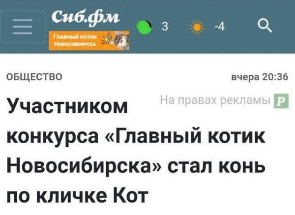 Смешные и непонятные заголовки из СМИ