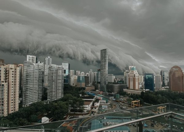 Фотодоказательства того, что Сингапур - страна будущего