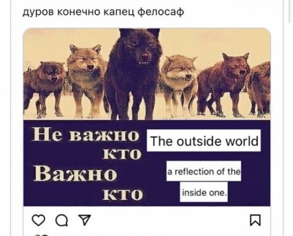 Павел Дуров впервые за три года опубликовал фото в Instagram: шутки и мемы от пользователей