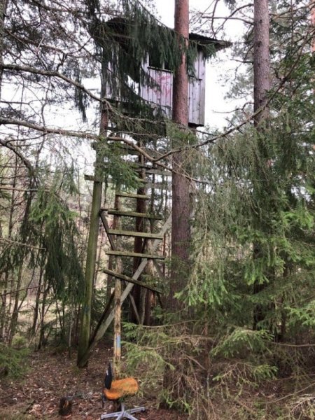 Пользователи показали снимки неожиданных и жутких находок, сделанных в дремучем лесу