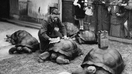 Исторический винегрет архивных фото