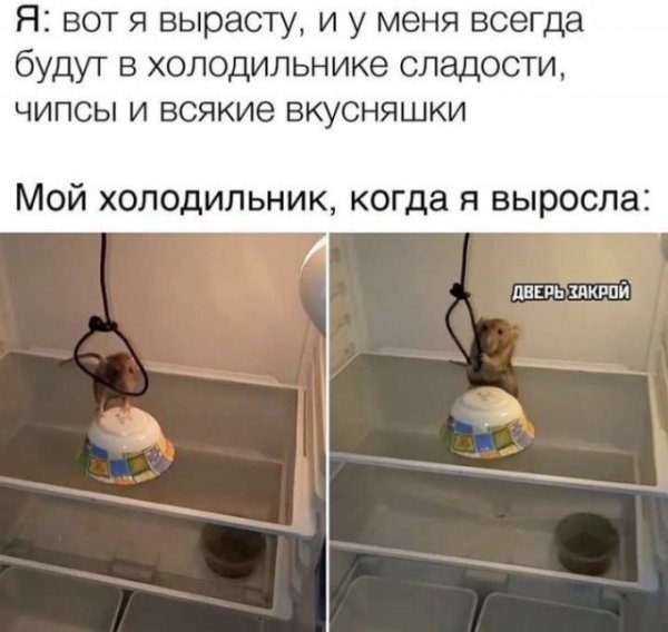 Шутки и мемы из Сети