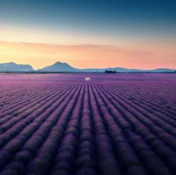 Веселая подборка фотографий из сети