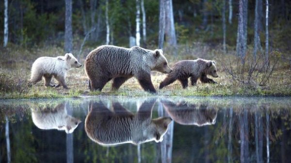 Веселая подборка фотографий из сети