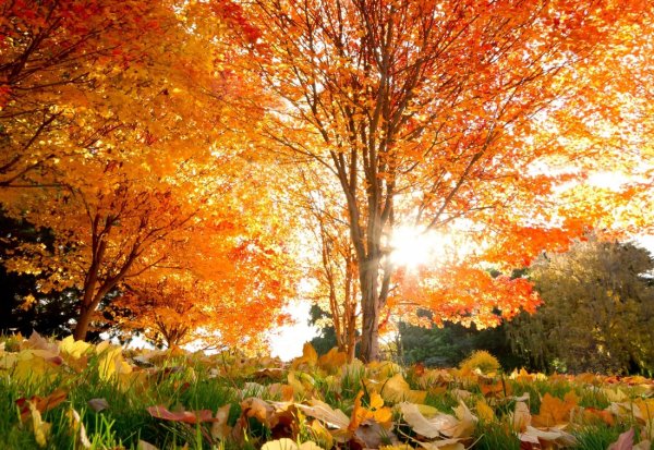 20 фотографий, на которых осень фантастически прекрасна