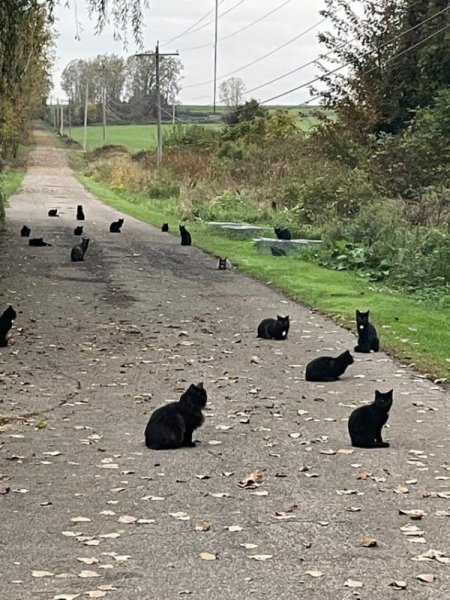 Подборка фотографий, в которых застали ошибки "матрицы"