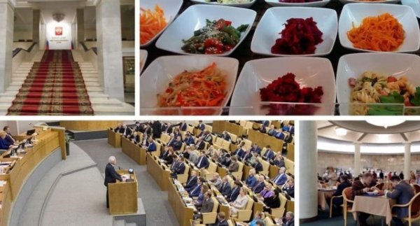 "У нас 2 года нет нормального питания!" Депутат жалуется на "ужасные" условия работы в Госдуме