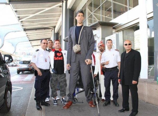Самый высокий человек в мире - Султан Кесен - приехал в Россию искать русскую жену