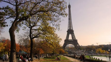 Блогерша показала, какую квартиру можно снять в Париже за 550 евро