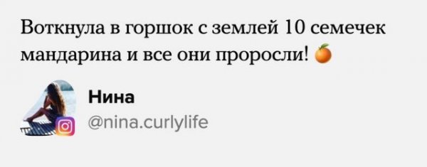 Пользователи рассказали, чего добились в уходящем 2021 году