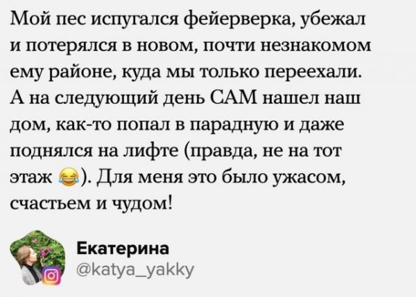 Пользователи рассказали, чего добились в уходящем 2021 году